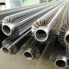 DELLOK TP304L หลอดขนานขนนก