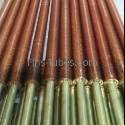 ซื้อ DELLOK หลอดปีกเหล็กคาร์บอนใสที่ถูกขีดออก 19 มม OD ปีกเหล็กแข็ง / สับปะปะปะปะปะปะปะปะปะปะปะปะปะปะปะปะปะปะปะปะปะปะปะปะปะปะปะปะปะปะปะปะปะปะปะปะปะปะปะปะปะปะปะปะปะปะปะปะปะ online manufacture